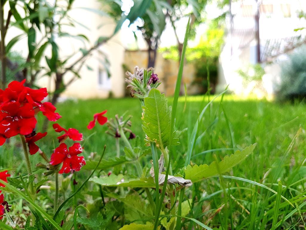 Apartments Kegalj Podstrana Zewnętrze zdjęcie